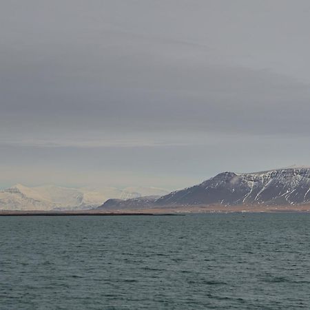 Floki'S Apartment Downtown. Reykjavík Dış mekan fotoğraf