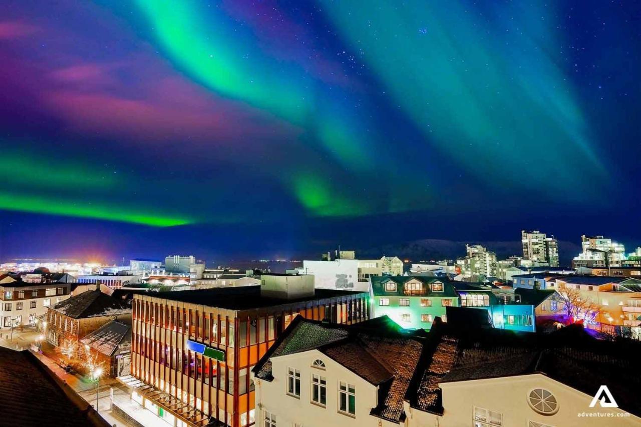 Floki'S Apartment Downtown. Reykjavík Dış mekan fotoğraf